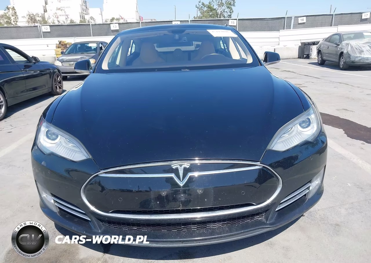 2013 Tesla Model S Performance VIN:5YJSA1CPXDFP24967 - 11
