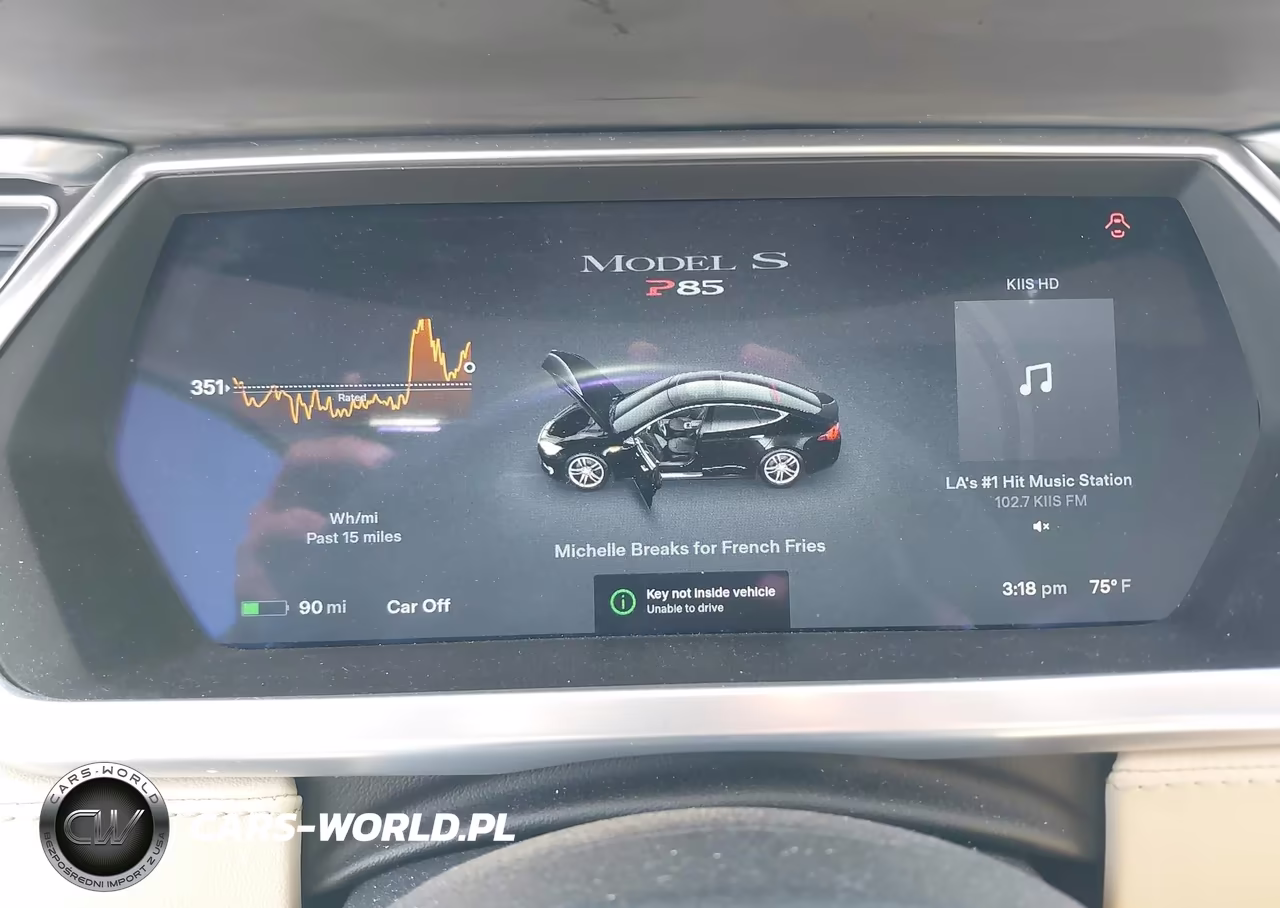 2013 Tesla Model S Performance VIN:5YJSA1CPXDFP24967 - 16
