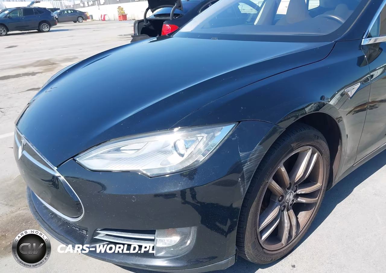 2013 Tesla Model S Performance VIN:5YJSA1CPXDFP24967 - 6