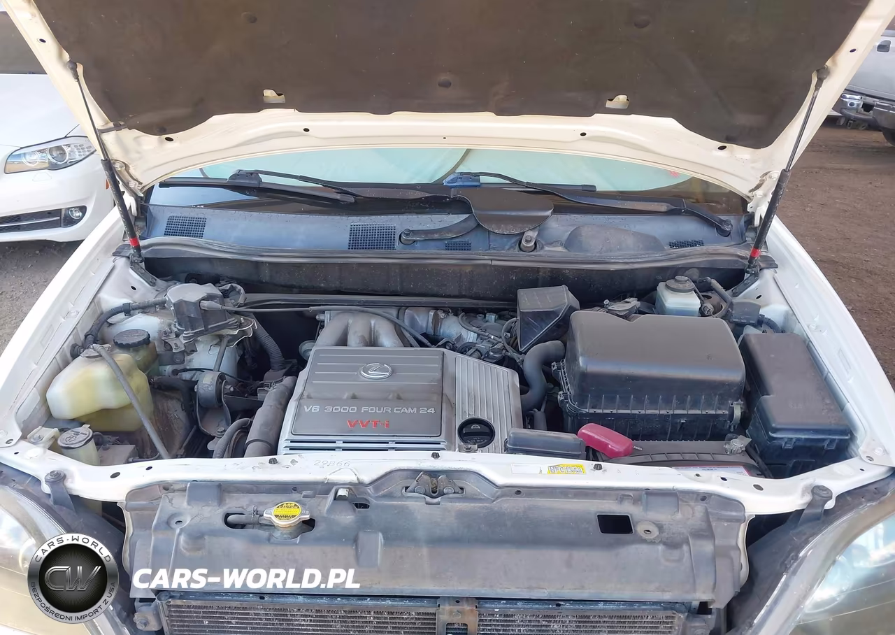 2000 Lexus Rx 300 VIN:JT6HF10U7Y0138163 - 10