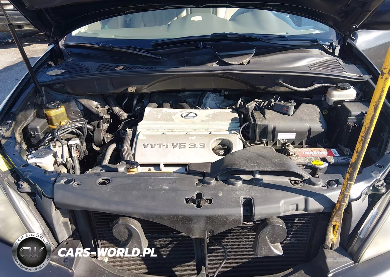 2006 Lexus Rx 330 VIN:2T2GA31U86C047902 - 10