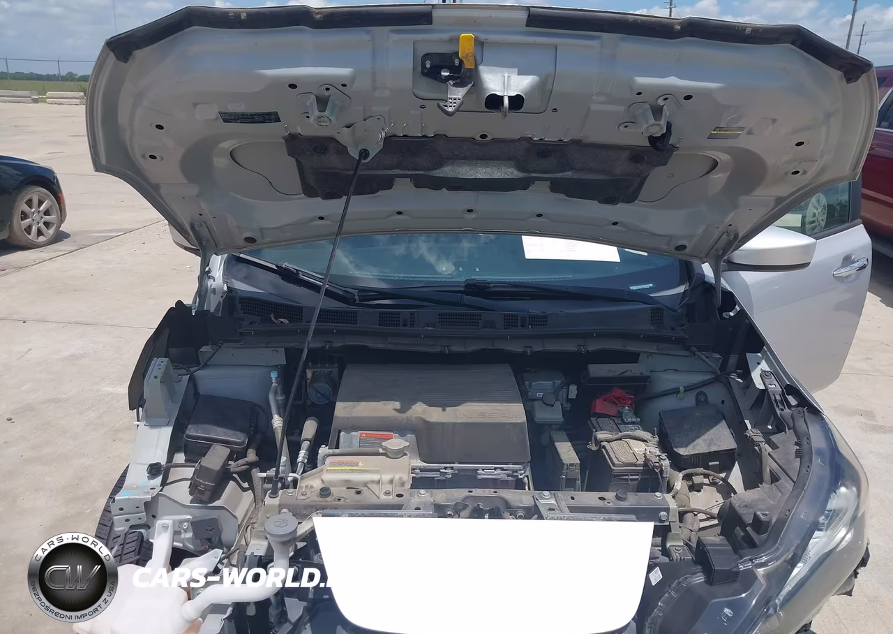 2019 Nissan Leaf Sv Plus VIN:1N4BZ1CP2KC310395 - 10
