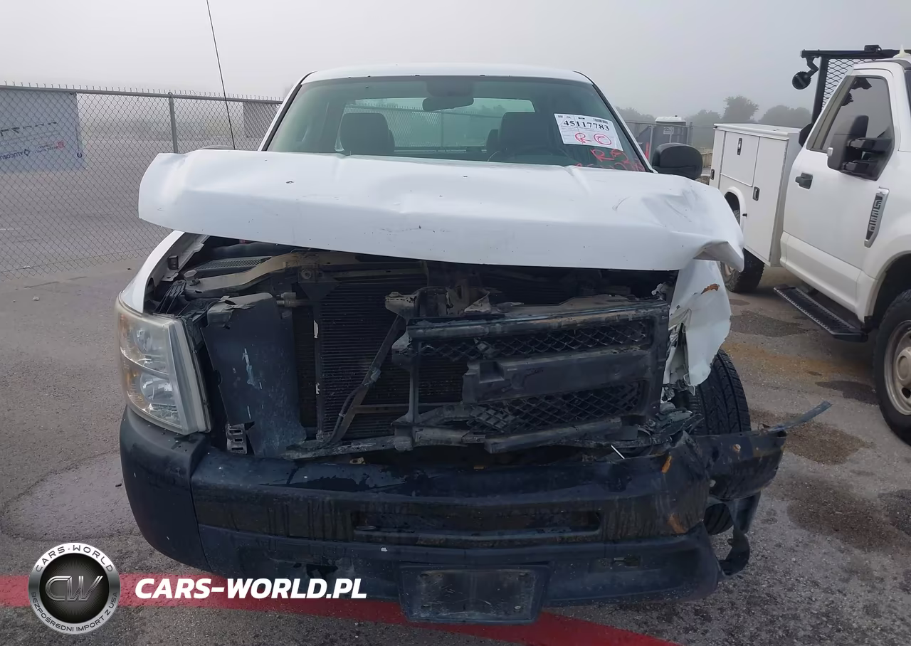 2013 Chevrolet Silverado 1500 Work Truck VIN:1GCRCPEX7DZ144899 - 12