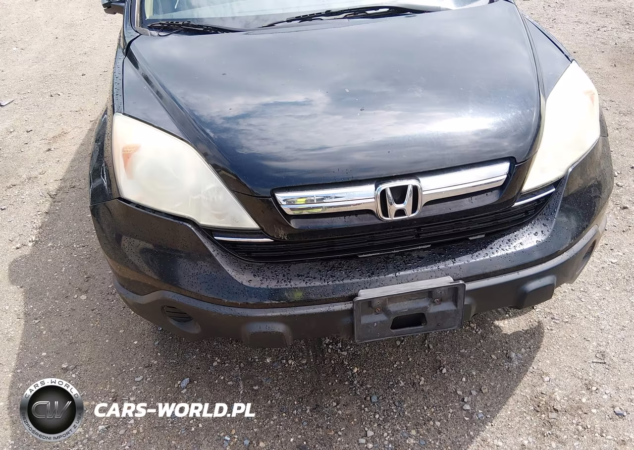 2009 Honda Cr-V Ex-L VIN:5J6RE48709L068743 - 6