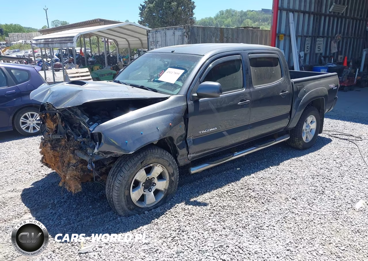 2009 Toyota Tacoma Base V6 VIN:3TMLU42NX9M036077 - 2
