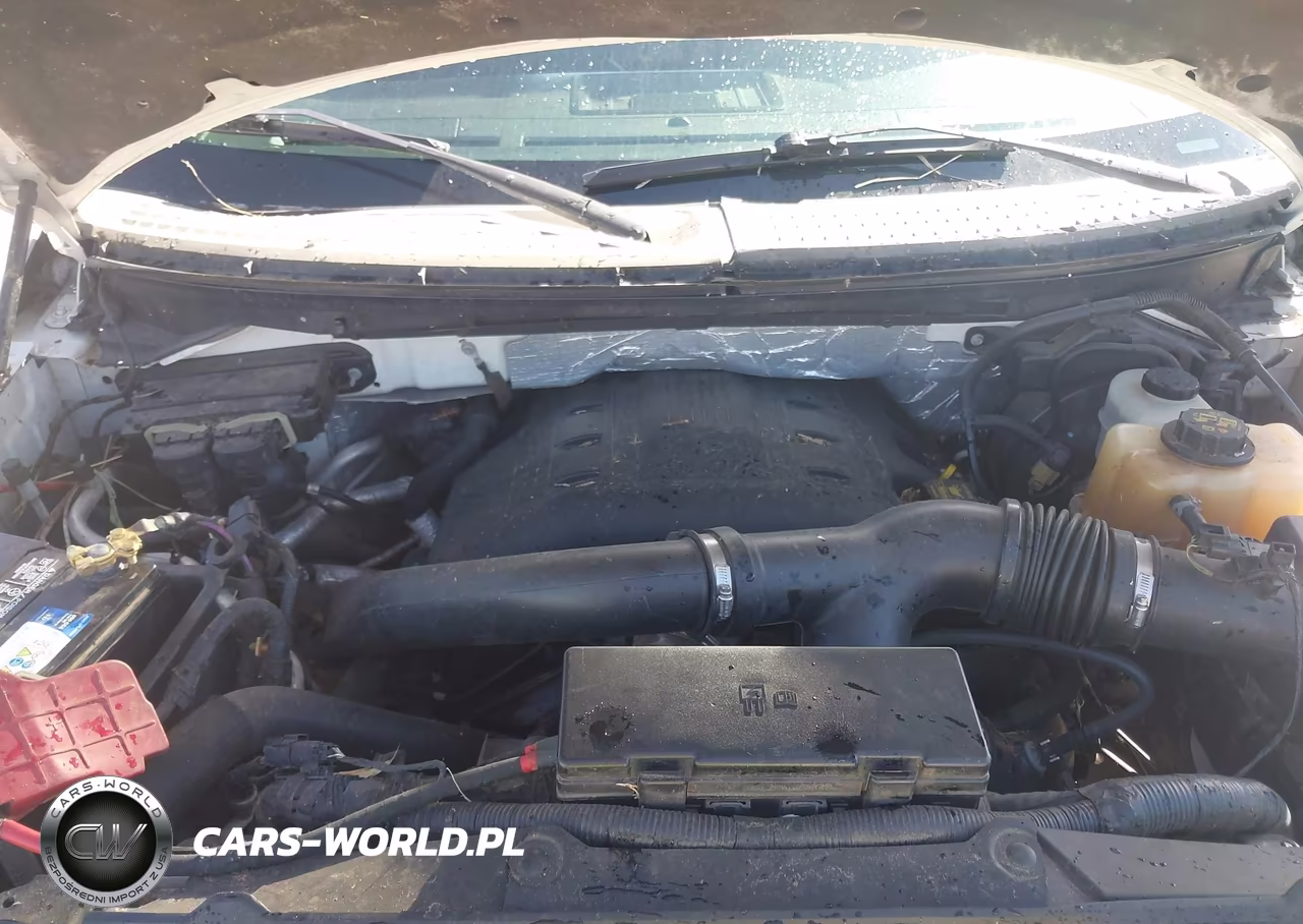2012 Ford F-150 Fx4 VIN:1FTFW1ET0CFC87424 - 10