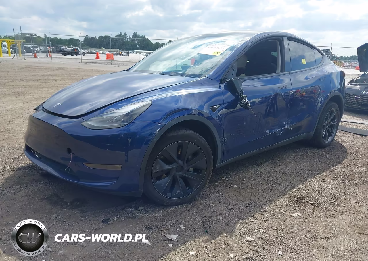 2025 Tesla Model Y Long Range Dual Motor All-Wheel Drive VIN:7SAYGDEE4SA346938 - 2