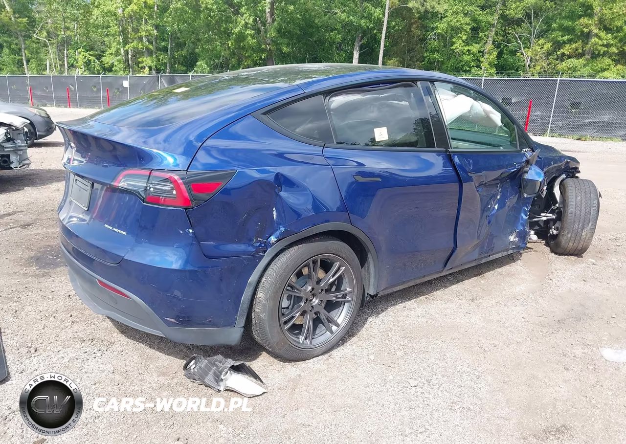2025 Tesla Model Y Long Range Dual Motor All-Wheel Drive VIN:7SAYGDEE4SA346938 - 4