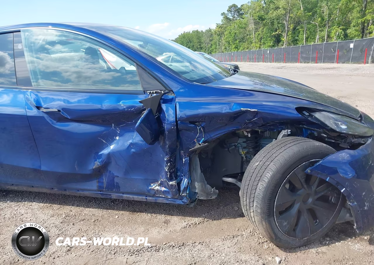 2025 Tesla Model Y Long Range Dual Motor All-Wheel Drive VIN:7SAYGDEE4SA346938 - 6