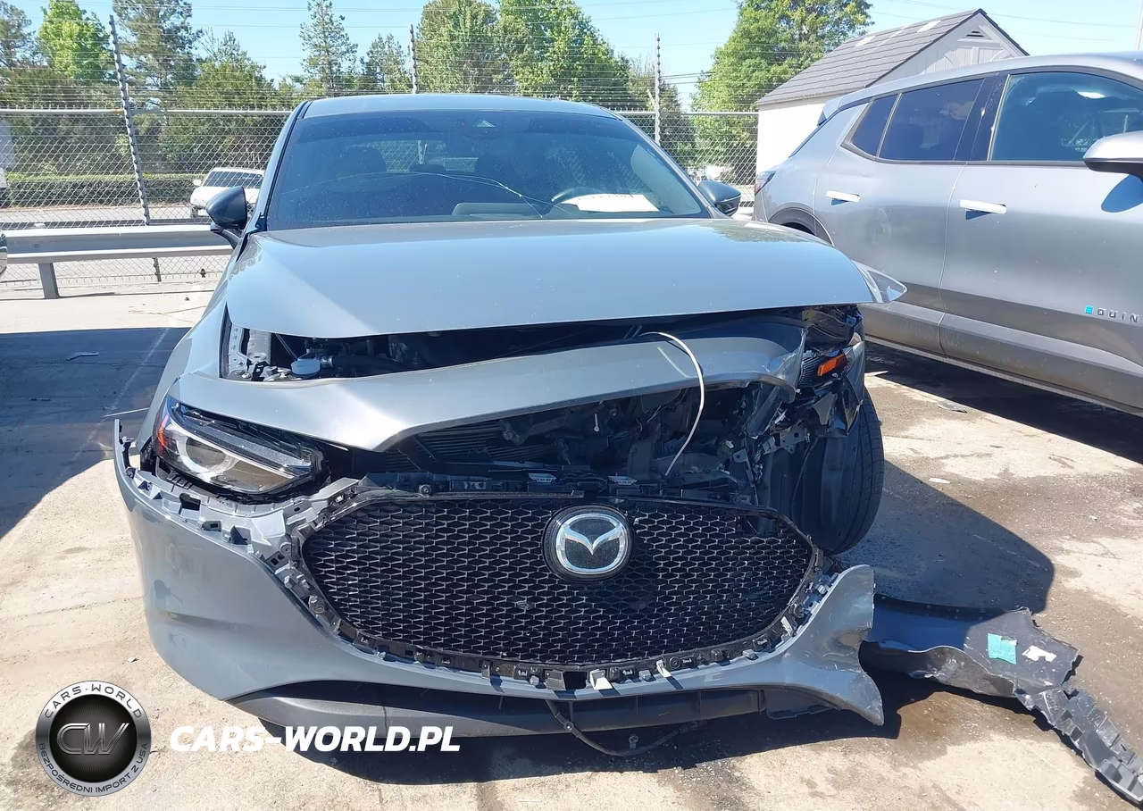2019 Mazda Mazda3 Premium Package VIN:JM1BPBNM1K1122648 - 12
