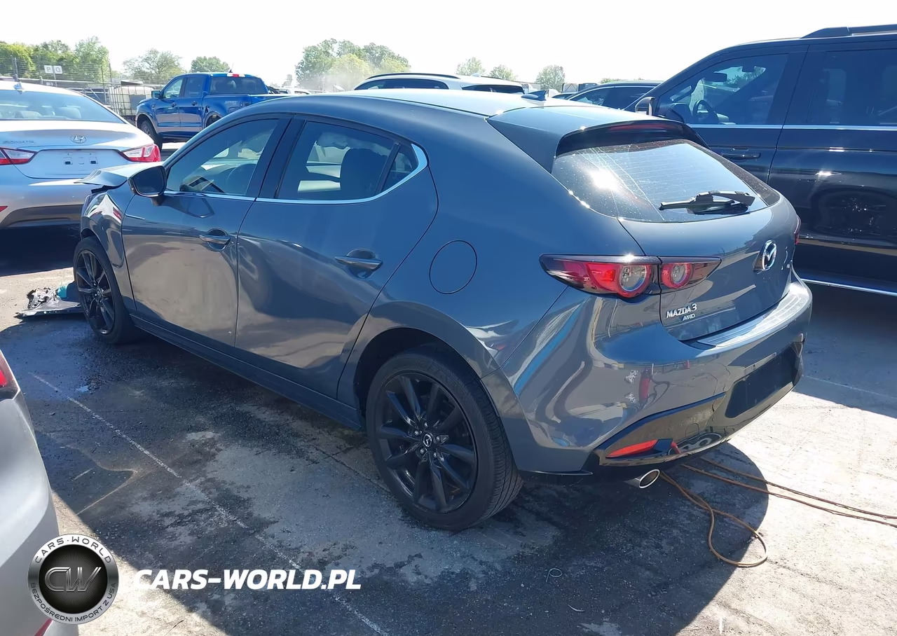 2019 Mazda Mazda3 Premium Package VIN:JM1BPBNM1K1122648 - 3