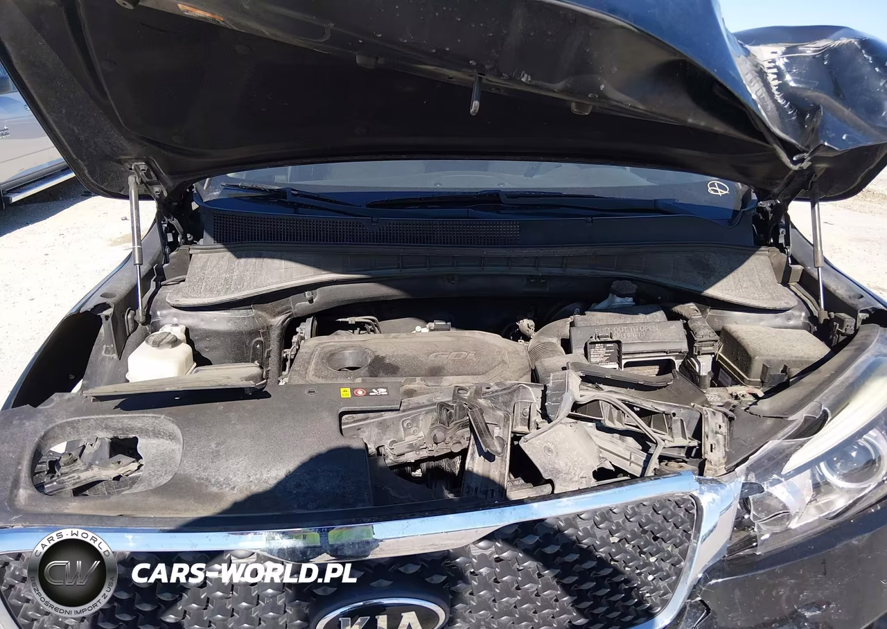 2017 Kia Sorento 2.4L Lx VIN:5XYPG4A39HG281215 - 10