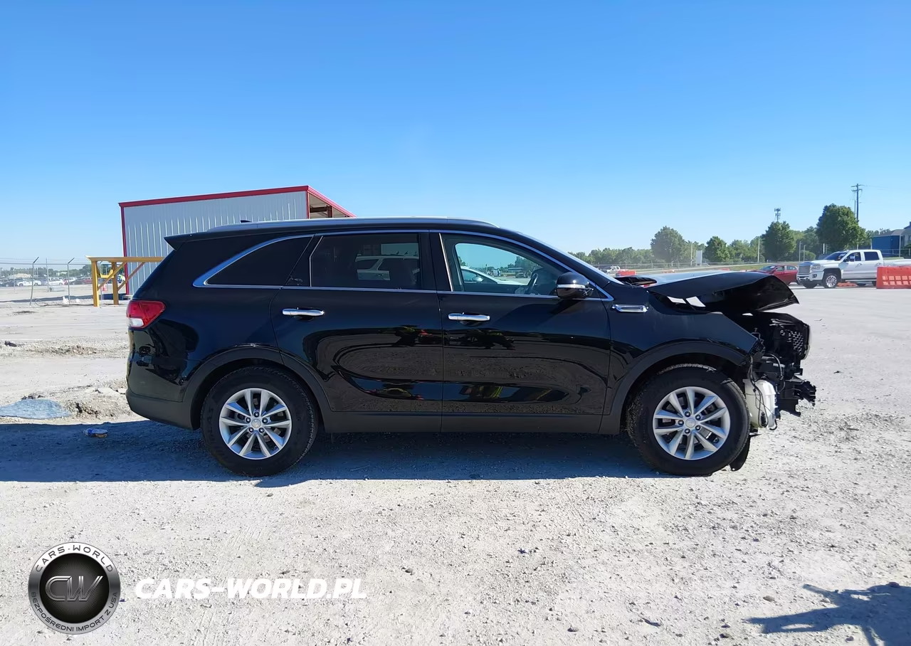 2017 Kia Sorento 2.4L Lx VIN:5XYPG4A39HG281215 - 13