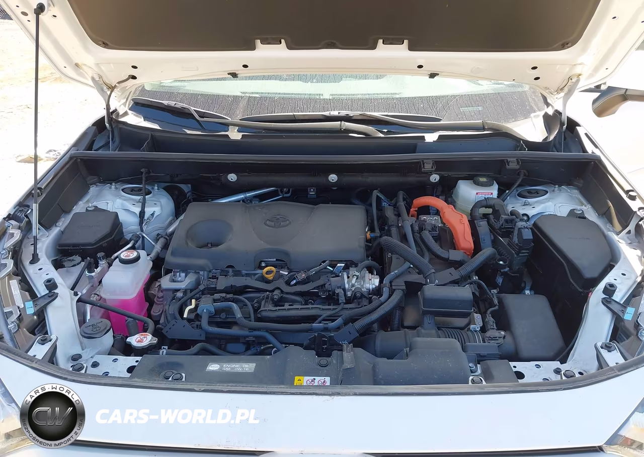 2025 Toyota Rav4 Hybrid Xle VIN:4T3RWRFVXSU189199 - 10