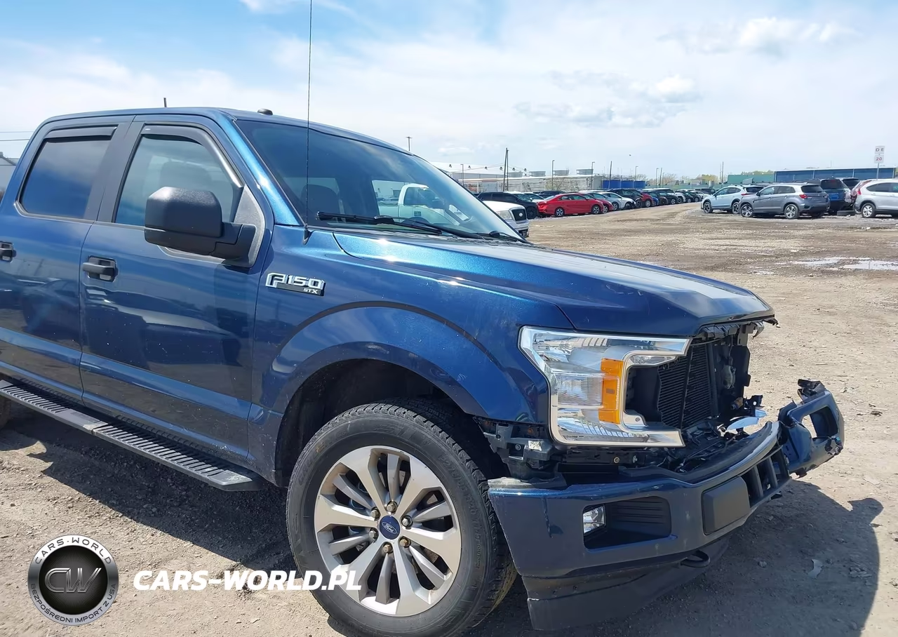 2018 Ford F150 Supercrew VIN:1FTEW1EP6JFD09339 - 19