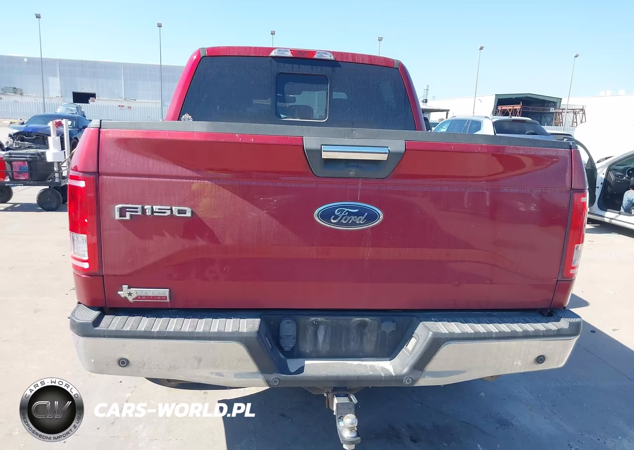 2015 Ford F-150 Xlt VIN:1FTEW1CGXFKE61433 - 16