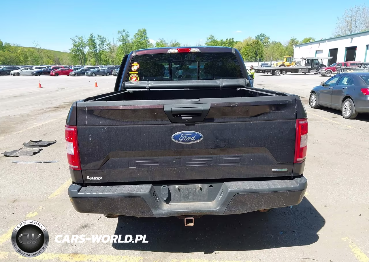 2019 Ford F-150 Xlt VIN:1FTEW1EP5KFC07242 - 16
