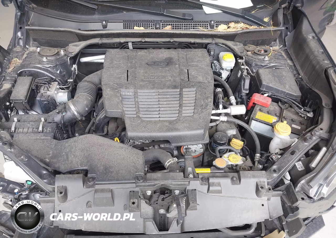 2024 Subaru Forester Wilderness VIN:JF2SKAJC3RH477409 - 10
