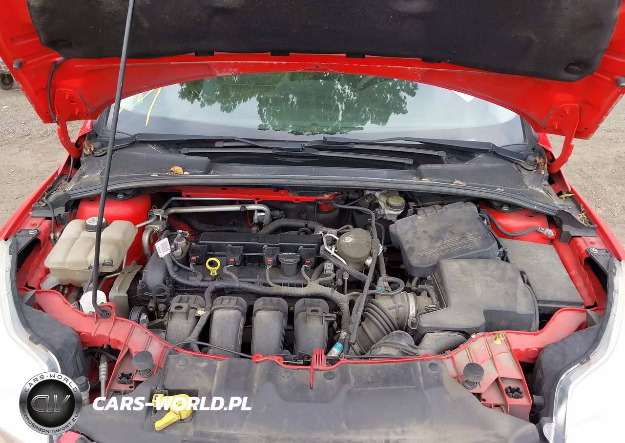 2013 Ford Focus Se VIN:1FADP3K22DL360295 - 10