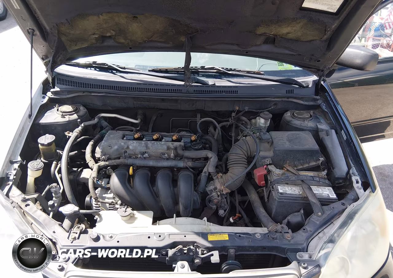 2004 Toyota Corolla Ce VIN:1NXBR32EX4Z194538 - 10