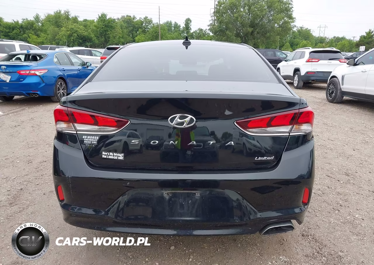 2018 Hyundai Sonata Limited VIN:5NPE34AF0JH600500 - 16