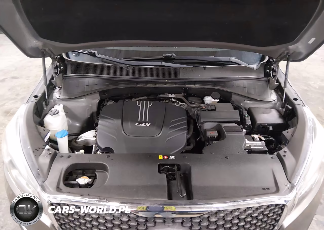 2018 Kia Sorento 3.3L Lx VIN:5XYPG4A52JG387433 - 10