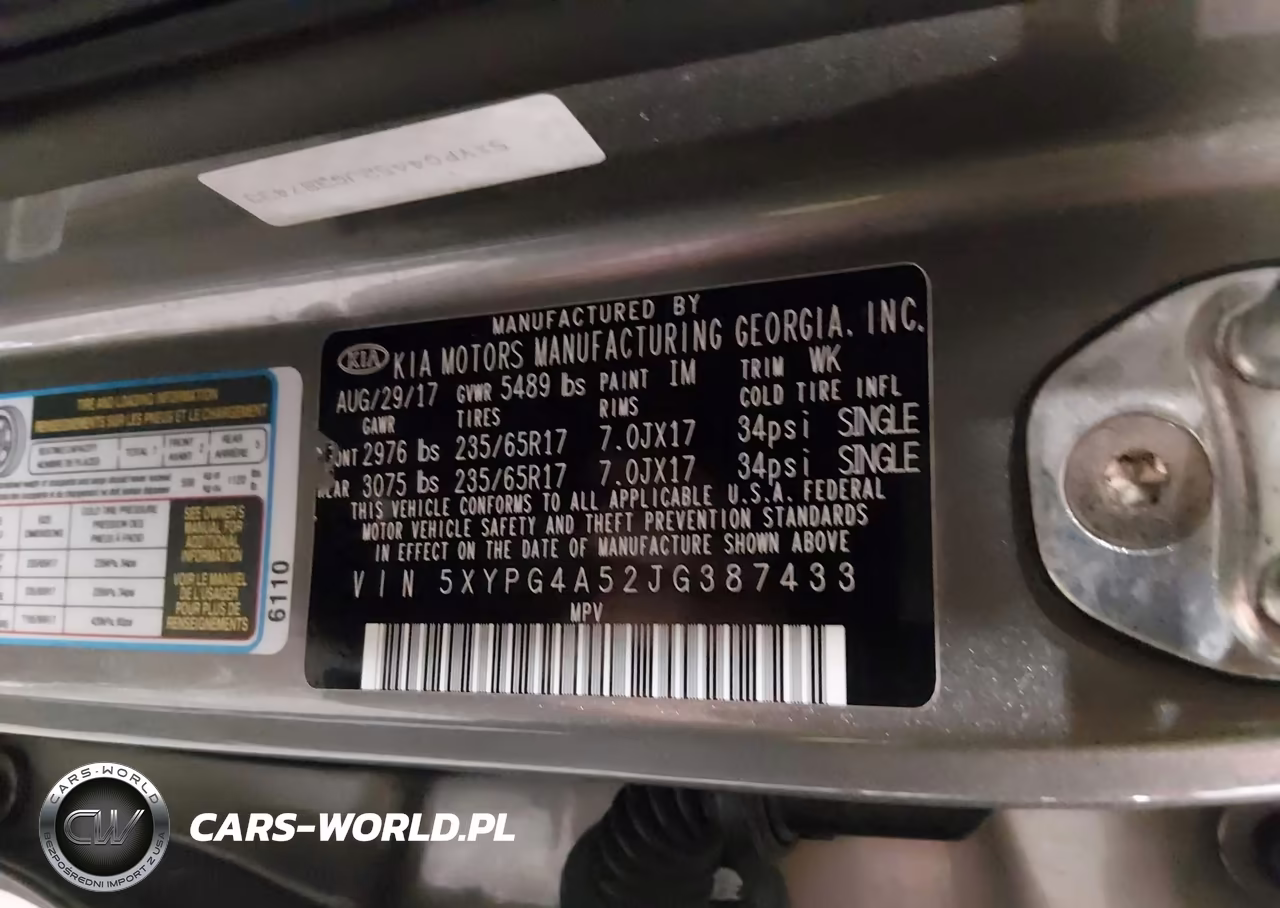 2018 Kia Sorento 3.3L Lx VIN:5XYPG4A52JG387433 - 9