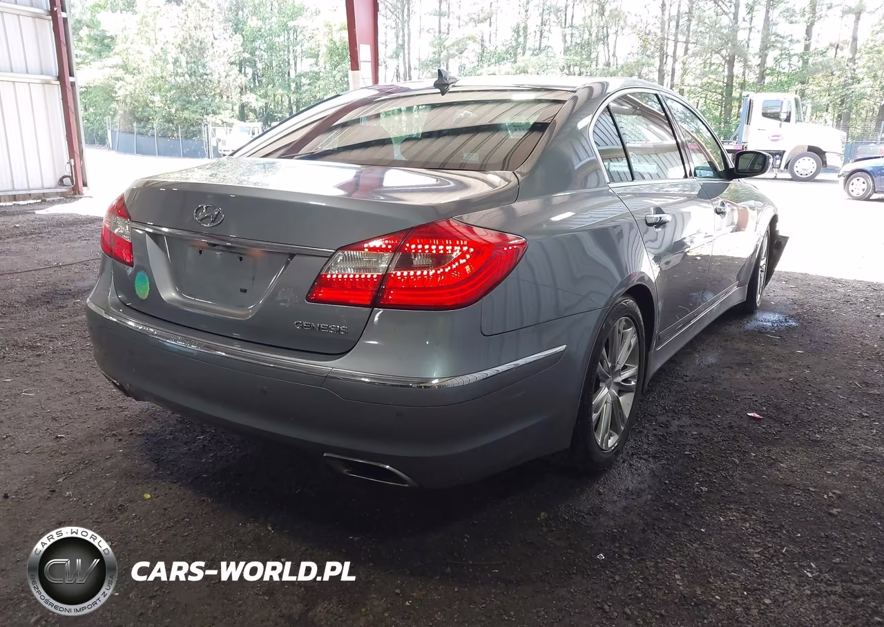 2014 Hyundai Genesis 3.8 VIN:KMHGC4DD8EU263696 - 4