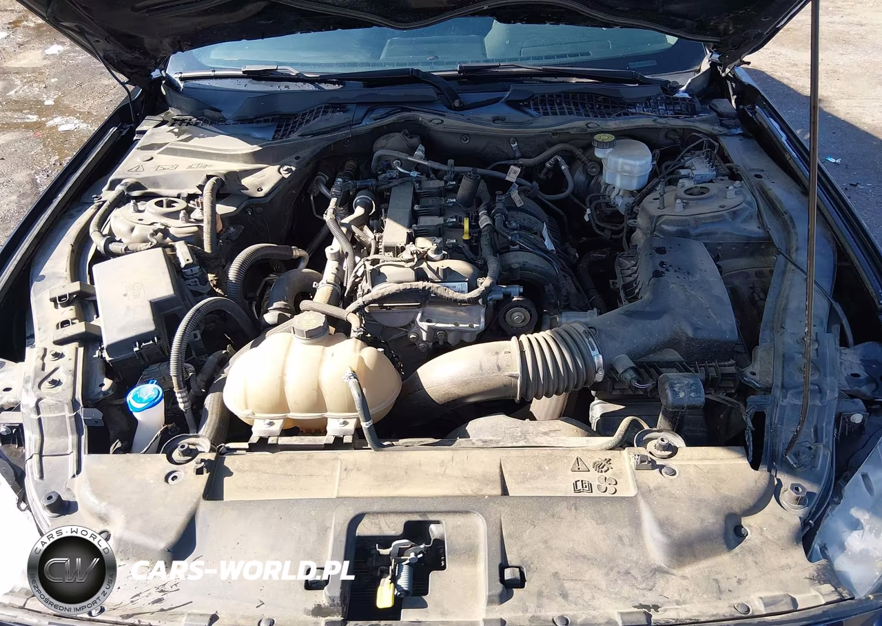 2021 Ford Mustang Ecoboost Fastback VIN:1FA6P8TH3M5111923 - 10