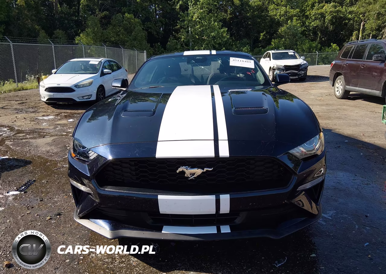 2021 Ford Mustang Ecoboost Fastback VIN:1FA6P8TH3M5111923 - 12