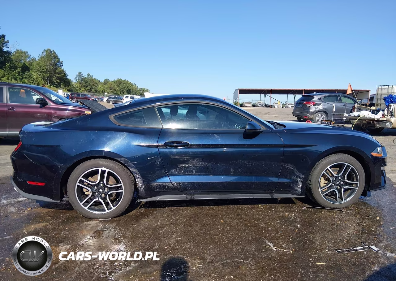 2021 Ford Mustang Ecoboost Fastback VIN:1FA6P8TH3M5111923 - 13
