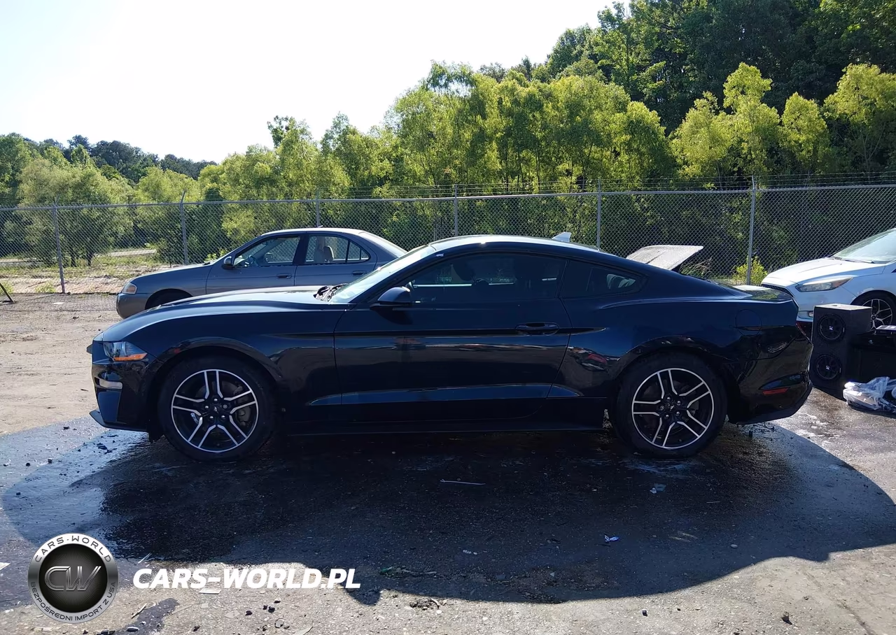 2021 Ford Mustang Ecoboost Fastback VIN:1FA6P8TH3M5111923 - 14