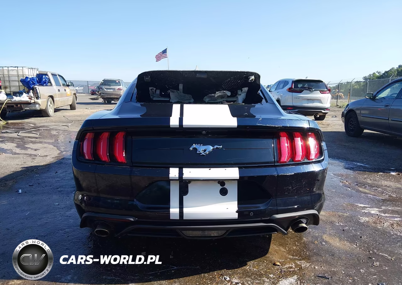 2021 Ford Mustang Ecoboost Fastback VIN:1FA6P8TH3M5111923 - 16