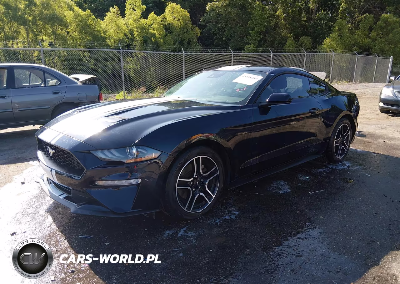 2021 Ford Mustang Ecoboost Fastback VIN:1FA6P8TH3M5111923 - 2