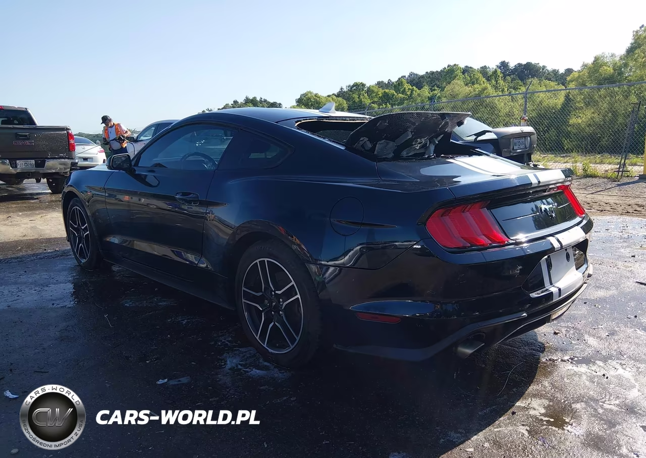 2021 Ford Mustang Ecoboost Fastback VIN:1FA6P8TH3M5111923 - 3