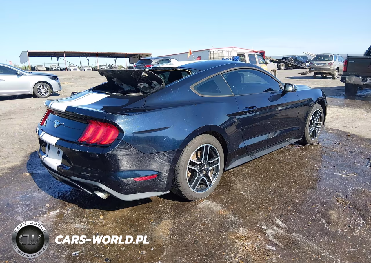 2021 Ford Mustang Ecoboost Fastback VIN:1FA6P8TH3M5111923 - 4