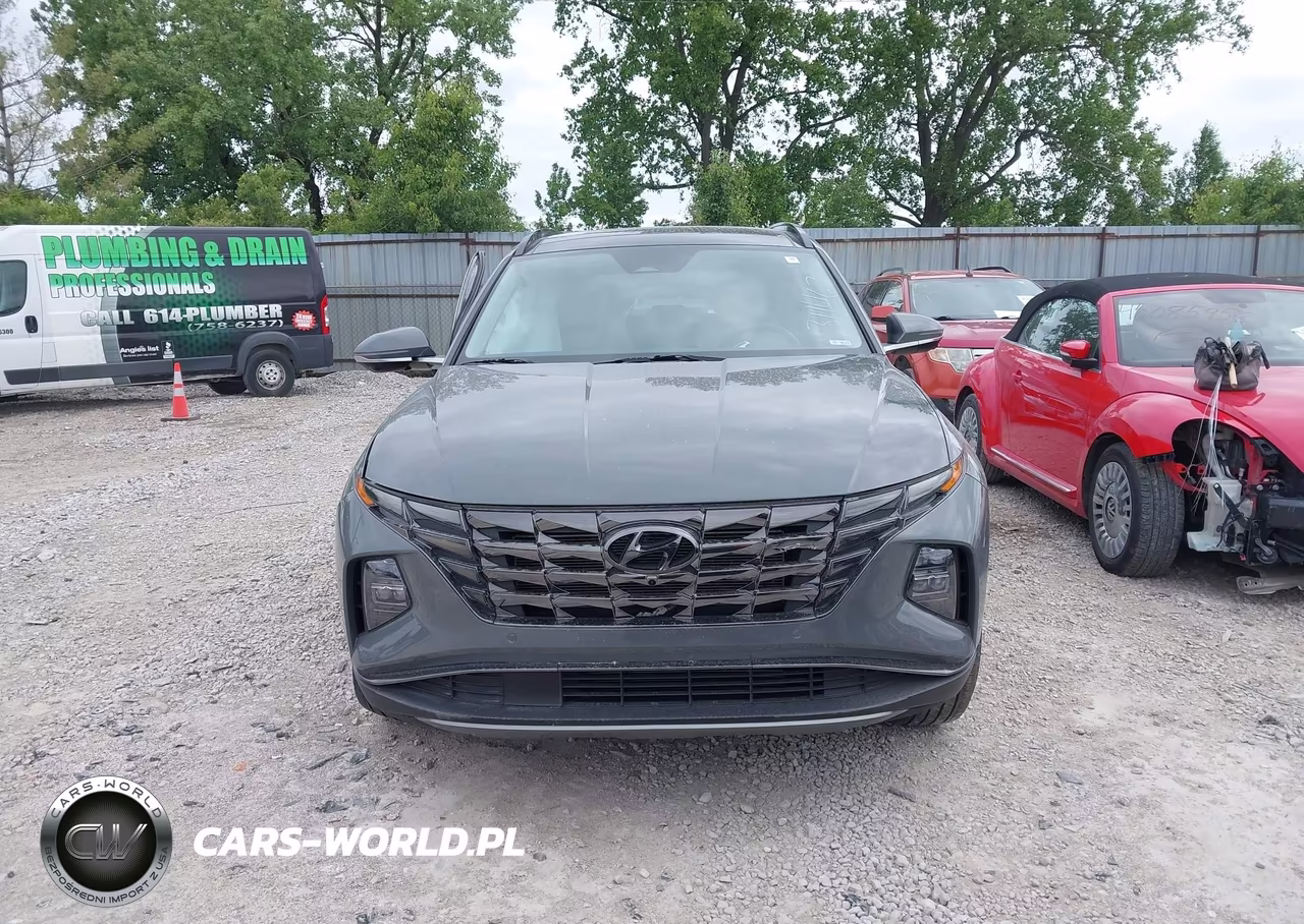 2024 Hyundai Tucson Limited VIN:5NMJECDE9RH311467 - 12