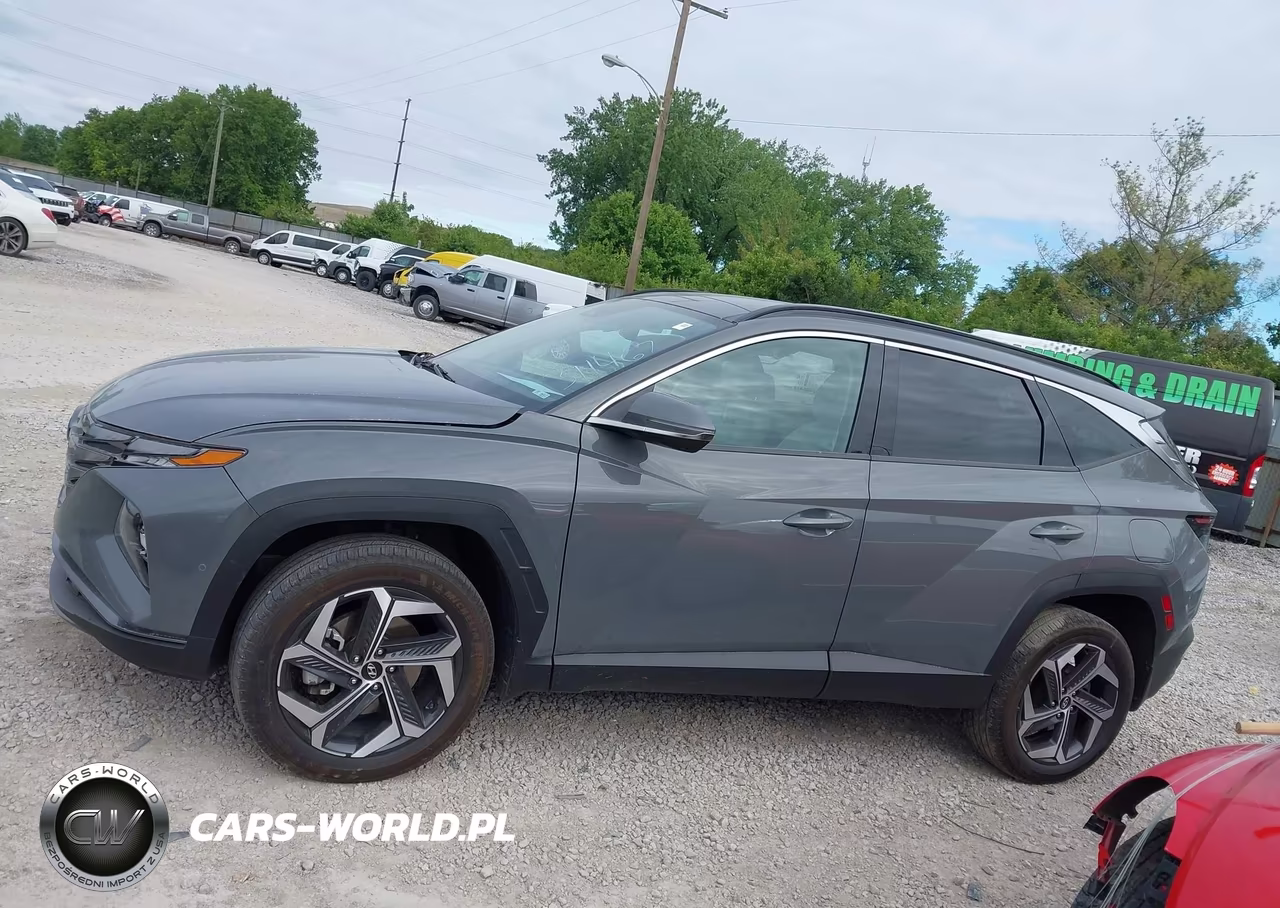 2024 Hyundai Tucson Limited VIN:5NMJECDE9RH311467 - 14
