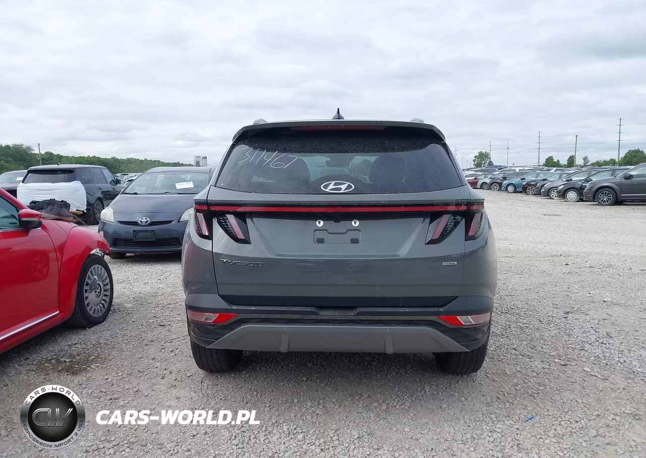 2024 Hyundai Tucson Limited VIN:5NMJECDE9RH311467 - 16