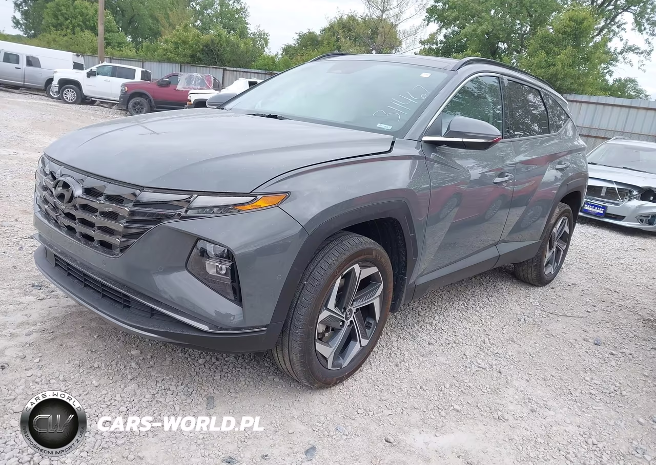 2024 Hyundai Tucson Limited VIN:5NMJECDE9RH311467 - 2