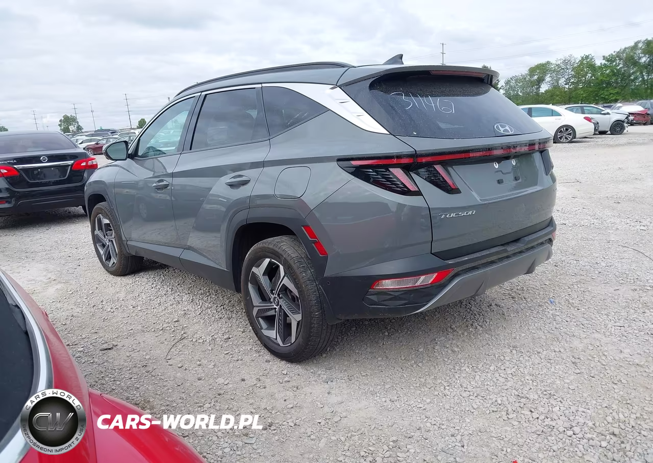 2024 Hyundai Tucson Limited VIN:5NMJECDE9RH311467 - 3