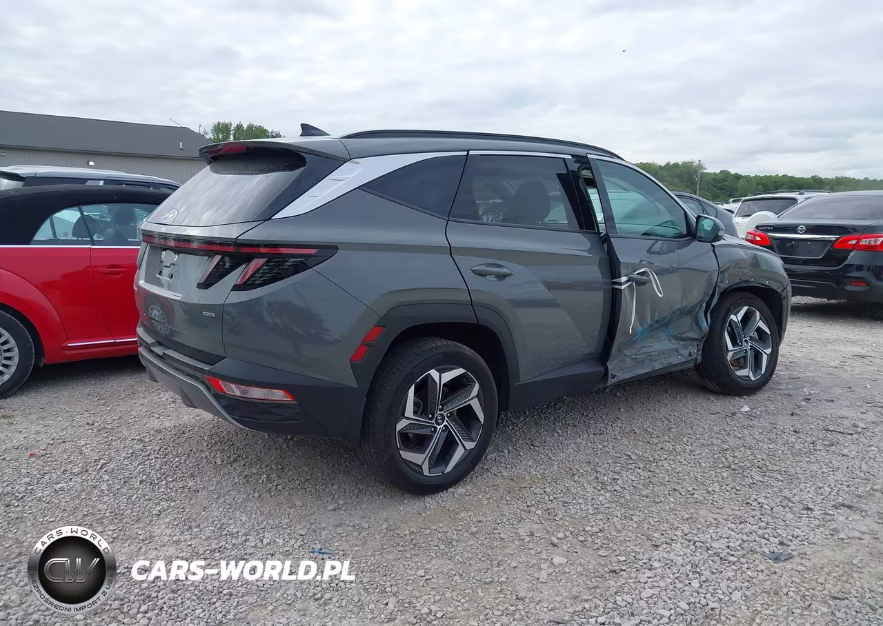 2024 Hyundai Tucson Limited VIN:5NMJECDE9RH311467 - 4