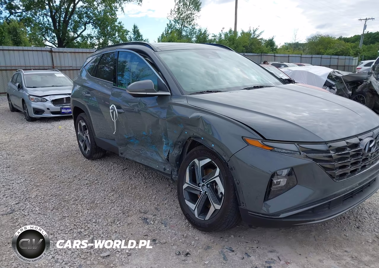 2024 Hyundai Tucson Limited VIN:5NMJECDE9RH311467 - 6
