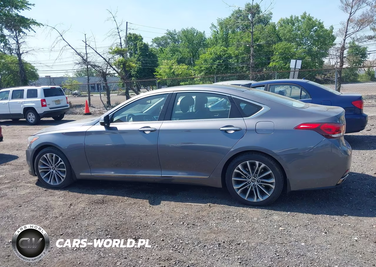 2016 Hyundai Genesis 3.8 VIN:KMHGN4JE1GU107736 - 14