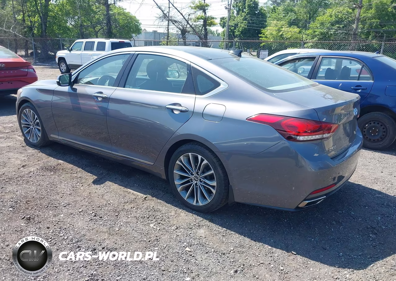 2016 Hyundai Genesis 3.8 VIN:KMHGN4JE1GU107736 - 3