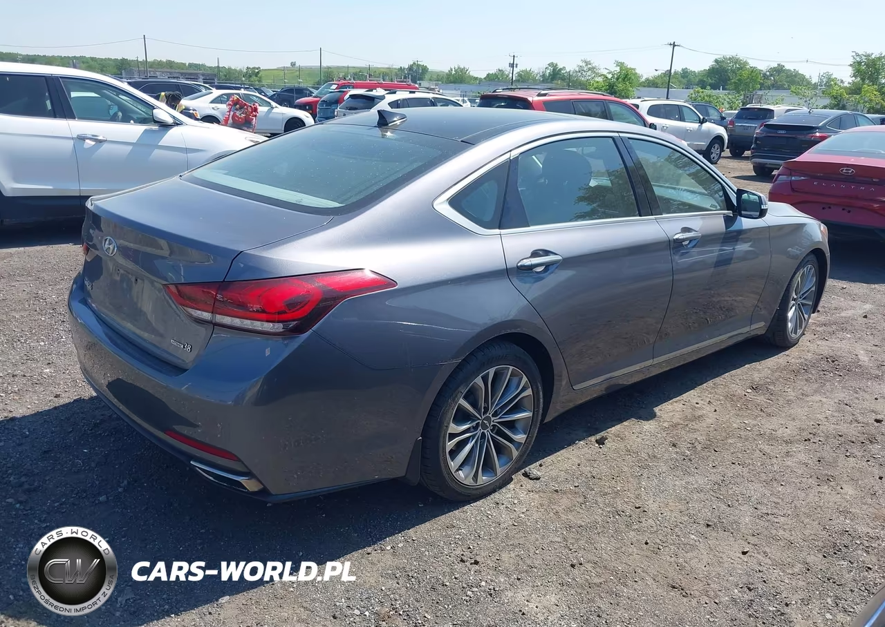 2016 Hyundai Genesis 3.8 VIN:KMHGN4JE1GU107736 - 4