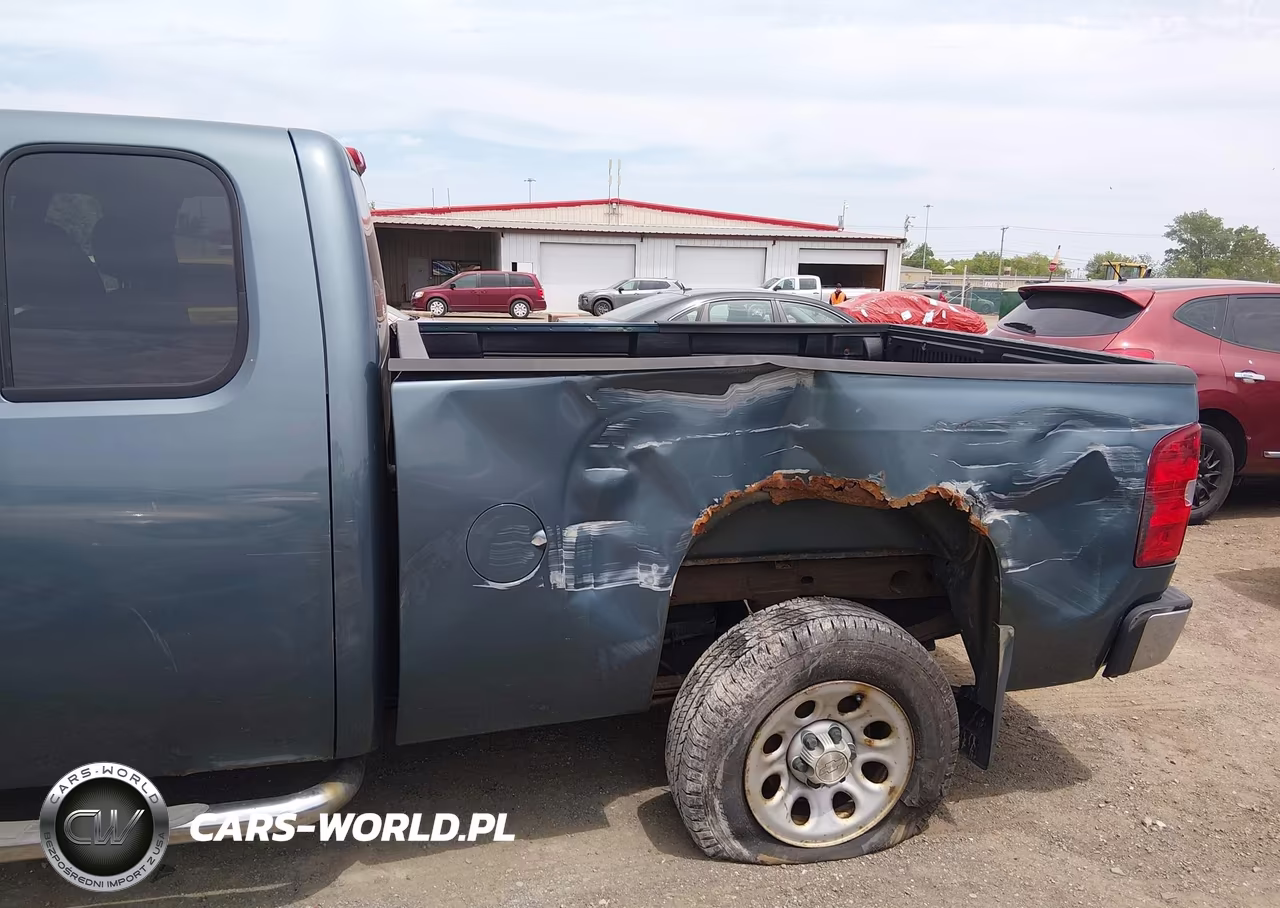2008 Chevrolet Silverado 1500 Work Truck VIN:1GCEC19X18Z314654 - 6