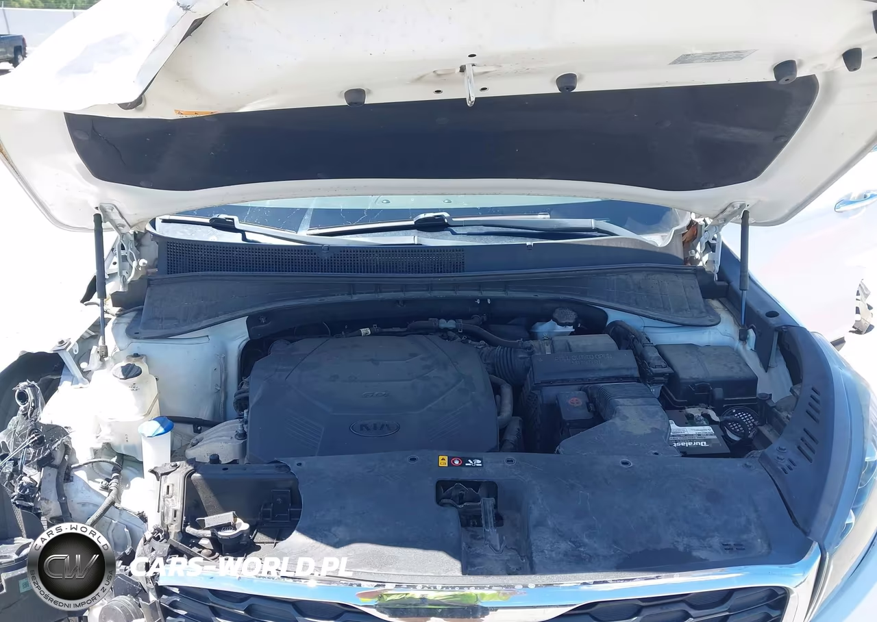 2019 Kia Sorento 3.3L Lx VIN:5XYPG4A59KG494948 - 10