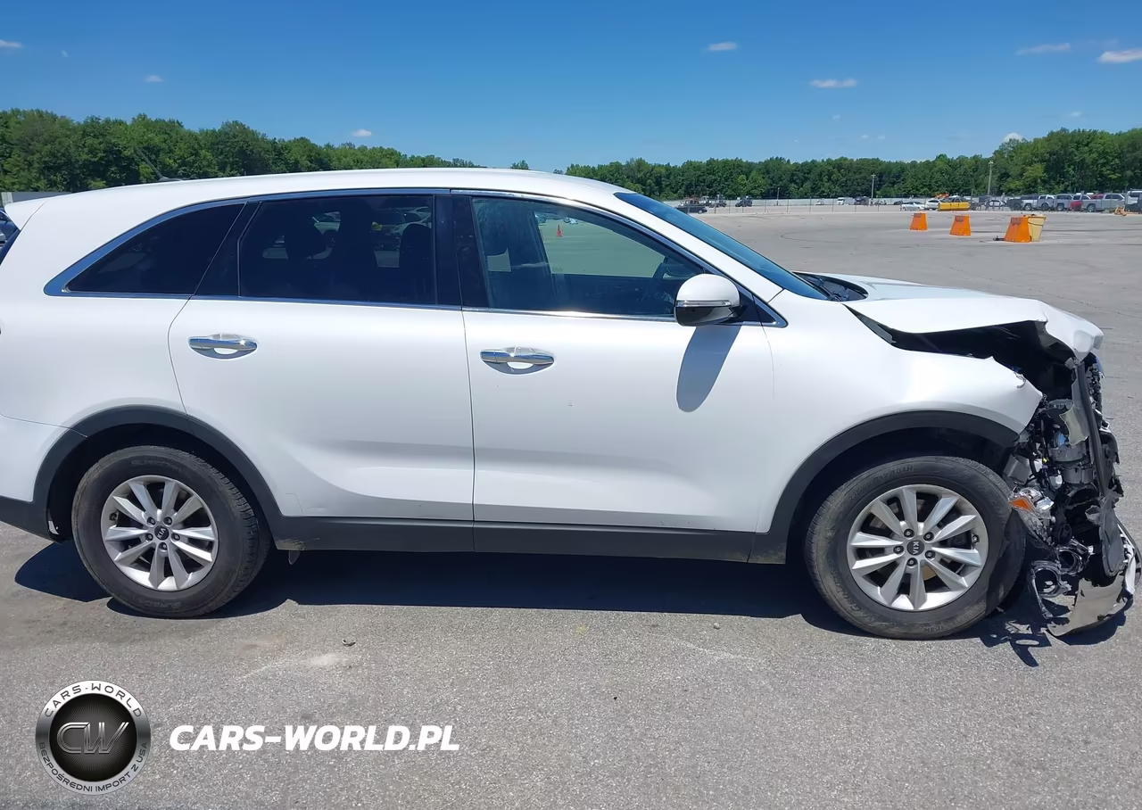 2019 Kia Sorento 3.3L Lx VIN:5XYPG4A59KG494948 - 14