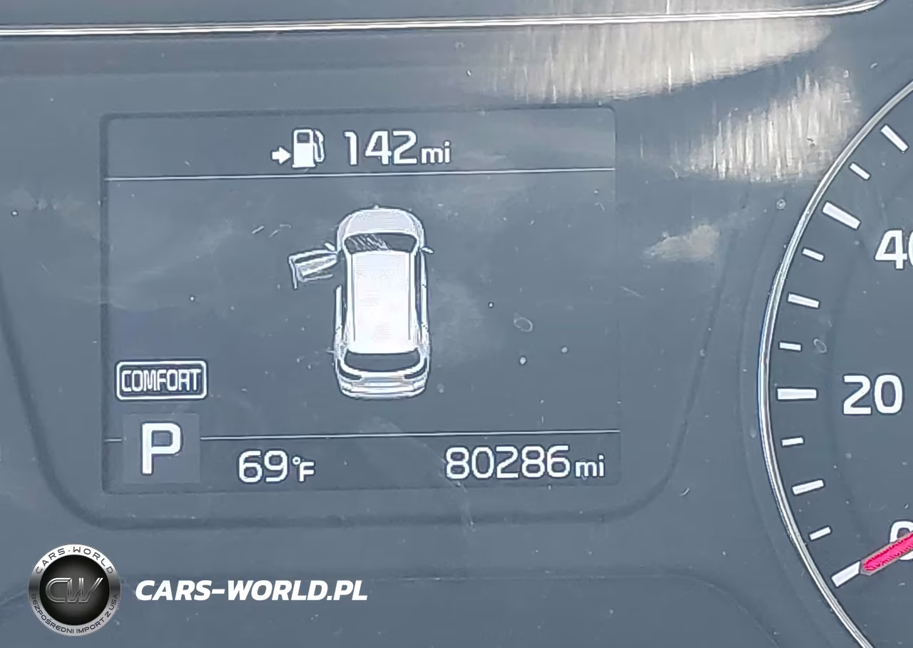 2019 Kia Sorento 3.3L Lx VIN:5XYPG4A59KG494948 - 16